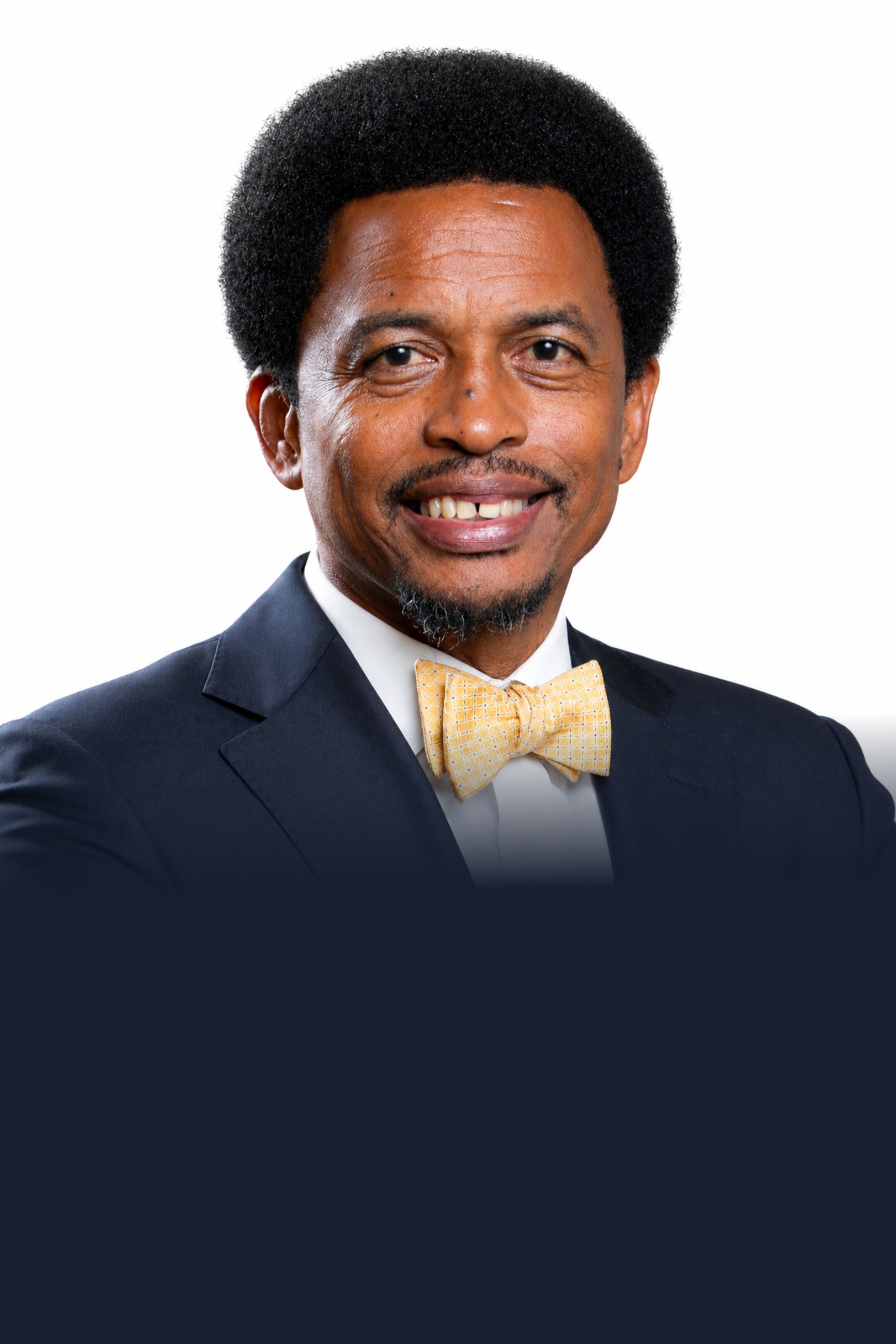Mr. Brian Lewis